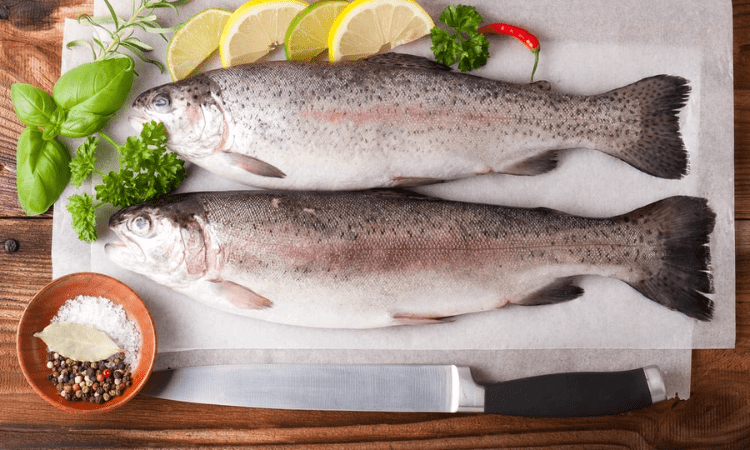 Can You Eat Trout Raw?